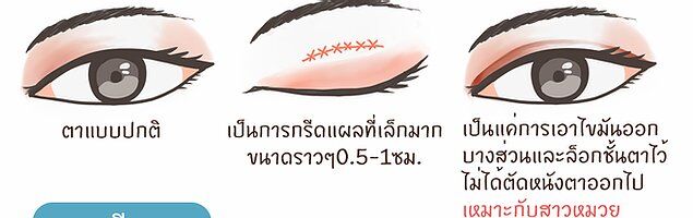 ตาสองชั้นlayout
