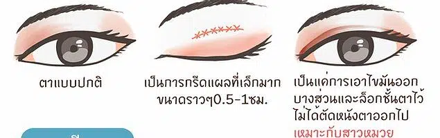ตาสองชั้นlayout