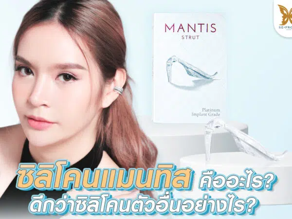 ซิลิโคนแมนทิส