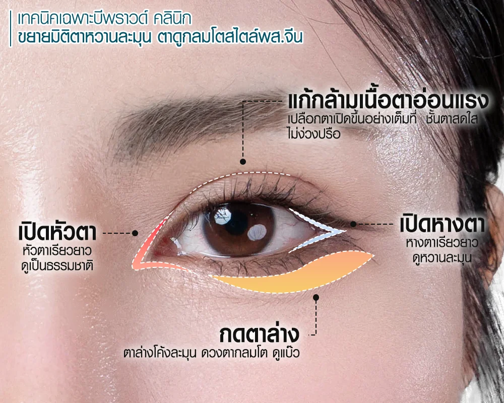 เทรนด์ตา พส.จีน รวมรีวิวเทรนด์ตา พส.จีน ทำได้ทันทีที่ไทย